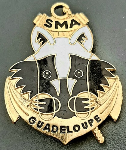 Insigne émail sma guadeloupe - insigne,