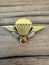 Brevet moniteur parachutiste