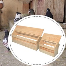 Mangeoire pour pigeons