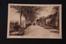 Carte Postale Côte d'Azur : Fréjus - Ruines Romaines Citadelle Boulevard La Mer