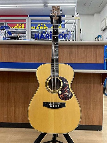 Guitare acoustique électrique