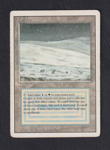 Magic mtg tundra - tundra,