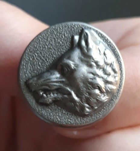 L02f09 tête loup - tête, de