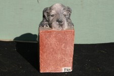 1 serre livre en faience petit chien avec marque.