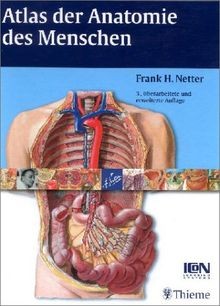 Atlas der anatomie des - atlas,