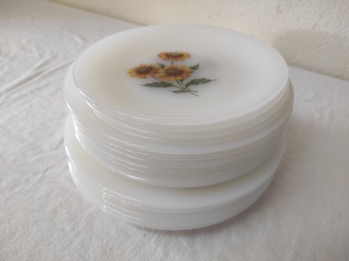 Lot assiettes plates - 16, 6