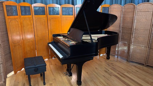 Steinway sons model b grand - sons,