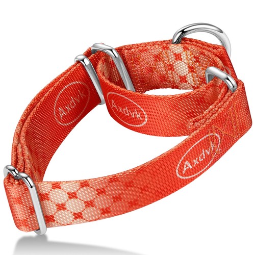 Collier martingale pour chien - collier,
