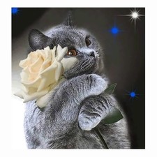 Cukol Canevas Point de Croix