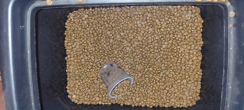 croquettes chien ultra premium