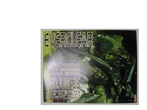 Everclear offset affiche - everclear,