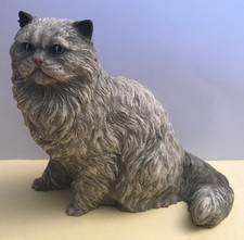 Chat persan gris assis