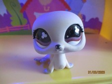 Petshop phoque 616 - #616, /
