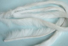 3 x BANDE de LAPIN BLANC