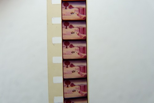Film animation poule aux - d'animation, la