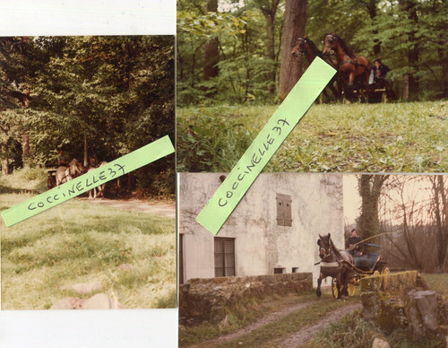 Equitation lot photos avec - lot, 3