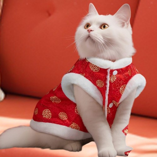 Manteau boutons pour chat - manteau,