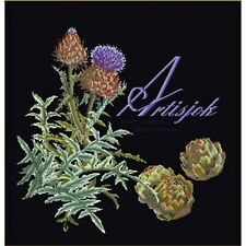   Kit point de croix  Artichaut 3048-05  Thea Gouverneur  Aida  