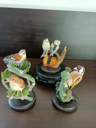 The country bird collection - "the, collection"