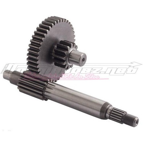 Transmission primaire jasil - transmission,