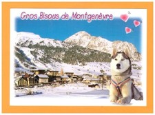 MONTGENEVRE (05) CHIEN HUSKY aux CHALETS & HOTELS en hiver