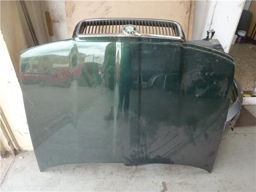 1u0823031d capot skoda - ,