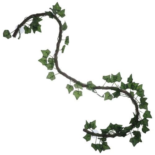 Gecko vines terrarium - vines,