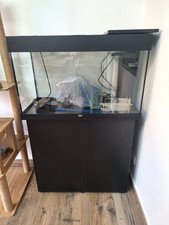 Aquarium complet 120L, noir, bon état, URGENT 