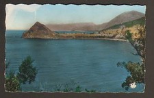 entre BOUGIE & DJIDJELLI (ALGERIE) ZAMIA à MONSOURIA