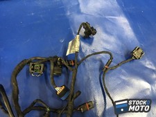 Faisceau BMW F 800 S