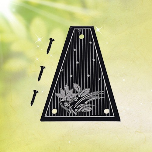 Guitar truss cover musical - truss,