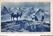 AIDP6-ANIMAUX-0577 - chamonix