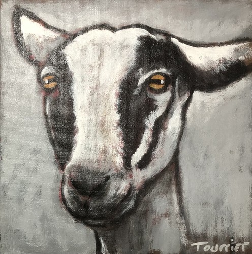 Tableau portrait chèvre - tableau,