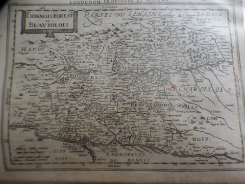 Gravure lionnois foresti - lionnois,