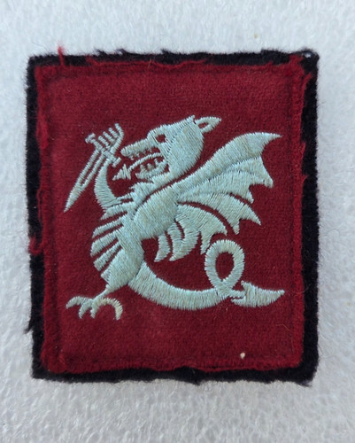 Patch tissu chimère