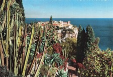 98 MONACO JARDIN EXOTIQUE