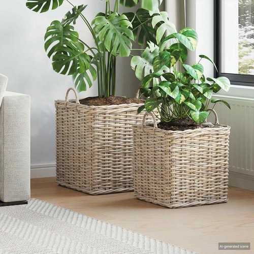 Panier plante avec stockage - panier,