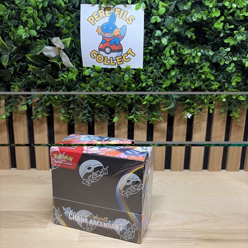 Pokémon display 36 - display,