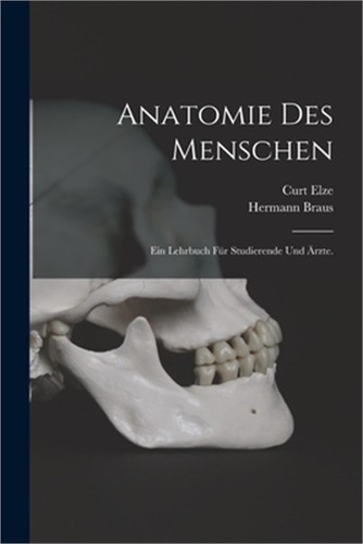 Anatomie des menschen - anatomie, menschen: