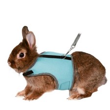 Harnais doux pour lapin nain