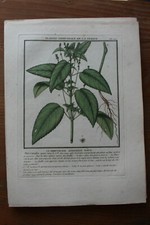 Gravure XVIII è Pierre