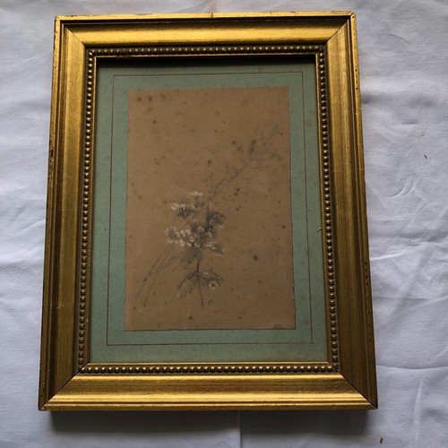 Dessin crayon pastel eme - pastel, 19