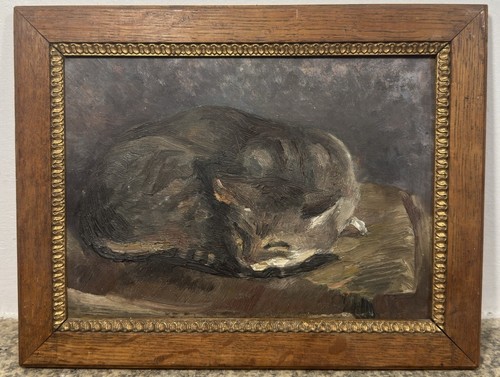 Ravissant chat endormi - , huile