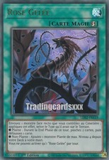 Yu-Gi-Oh! Rose Gelée : UR LDS2-FR119