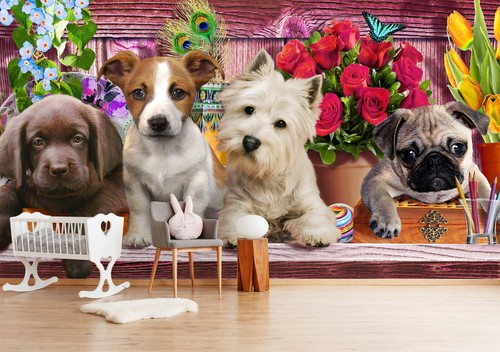 Papier peint chiots mignons - chiots,