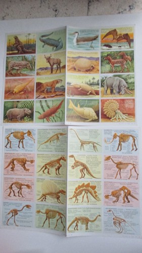 Lot planches éducatives - lot,