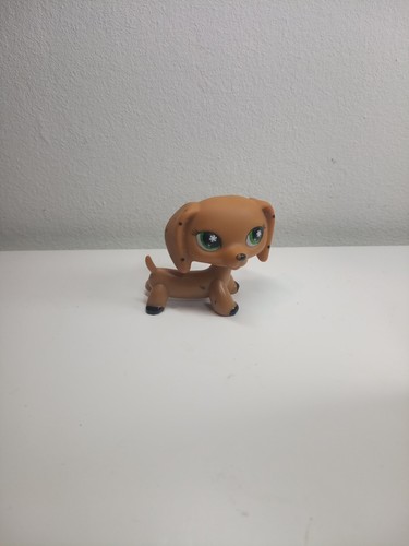 Petshop chien teckel - chien,