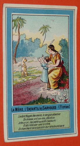 Chromo chat qui - qui, lille