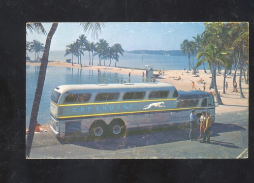 Greyhound bus company sonic - bus,