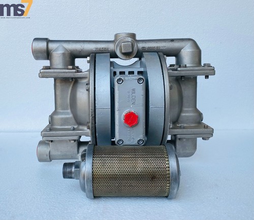 Pompe wilden inox à - ss, air